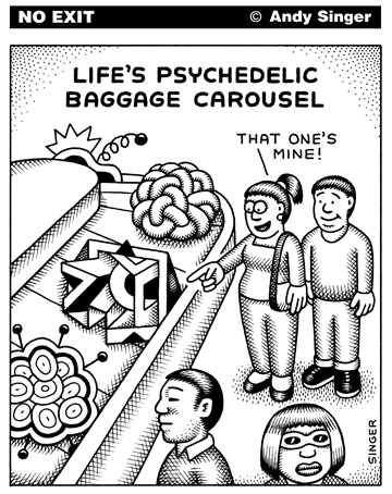 Andy Singer: Psyhedelic Carousel